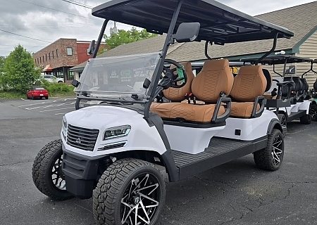 2025 SIERRA LSV AX3 WHITE 6 PASS -$13995