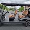 2025 SIERRA LSV AX3 BLACK 6 PASS - $13995