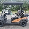 2005 CLUB CAR PRECEDENT WOOD - $OLD