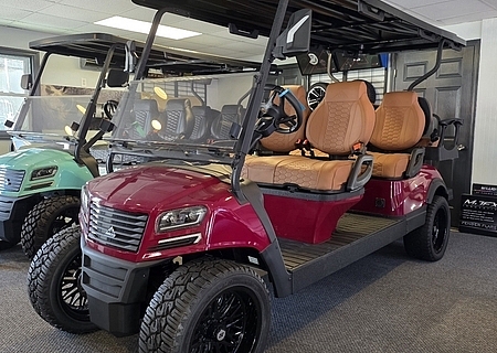 2025 SIERRA LSV AX3 6 PASSENGER - $11995