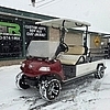2015 Evolution Express LONG BED Utility Cart - $5995