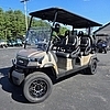 2026 ICON EV i60LX 6 PASS GOLD - $13995