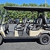 2026 ICON EV i60LX 6 PASS GOLD - $13995