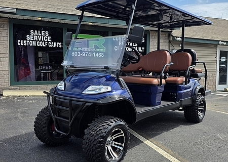 2021 ADVANCED EV 6 PASSENGER BLUE - $7495