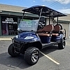 2021 ADVANCED EV 6 PASSENGER BLUE - $7495